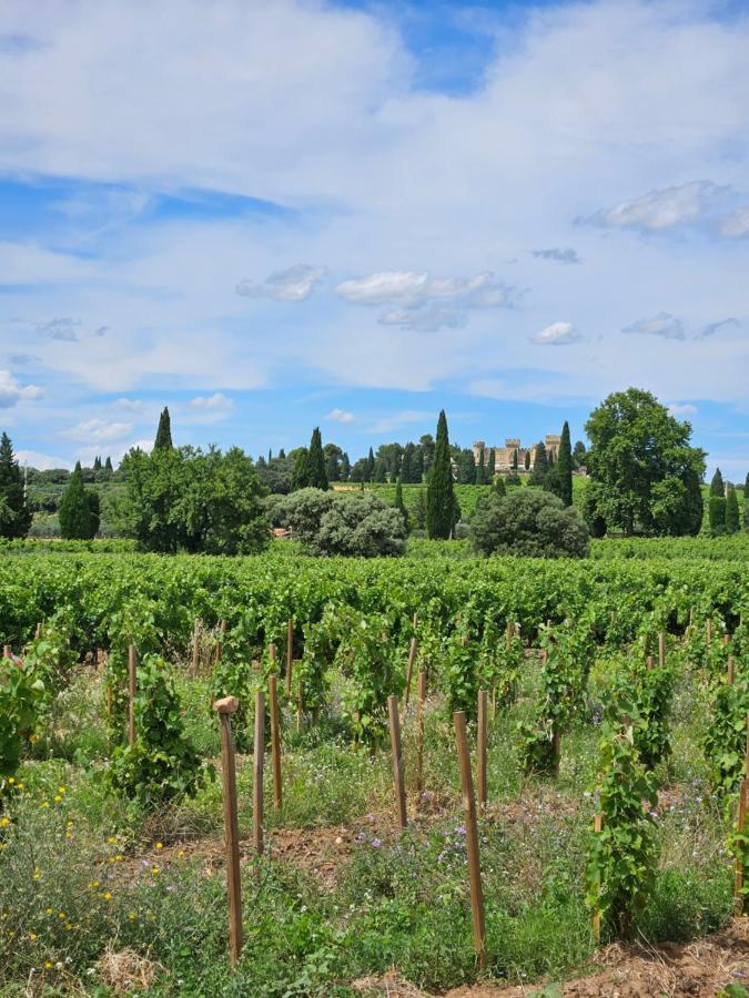 Le Willow Châteauneuf-du-Pape Exterior foto